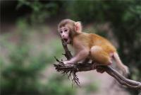 animal-067.jpg animal-067.jpg