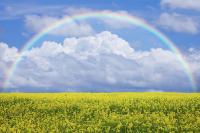beauty-104.jpg beauty-104.jpg