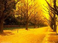 beauty-113.jpg beauty-113.jpg