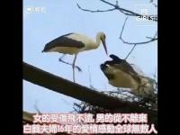 TheloveoftheBaihecoupleinthepast16yearshasmovedcountlesspeoplearoundtheworld(movie).jpg TheloveoftheBaihecoupleinthepast16yearshasmovedcountlesspeoplearoundtheworld(movie).jpg