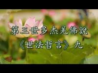 WorldLawPhilosophy(movie)9.jpg WorldLawPhilosophy(movie)9.jpg