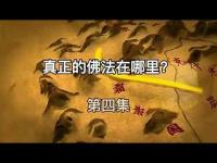 Whereistherealdharma(movie)4.jpg Whereistherealdharma(movie)4.jpg