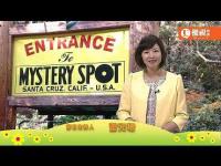 MysterySpot(movie).jpg MysterySpot(movie).jpg