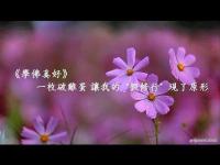 Abrokeneggbroughtmyfakepracticeintoshape(movie).jpg Abrokeneggbroughtmyfakepracticeintoshape(movie).jpg