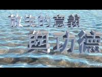 MeaningandMeritofRelease(movie).jpg MeaningandMeritofRelease(movie).jpg