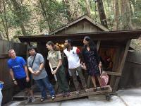 MysterySpot03.jpg