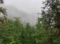 20231015006.jpg 20231015006.jpg