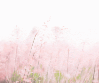 GuardianGallery081.gif