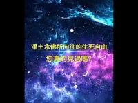 Haveyouseenthefreedomoflifeanddeathmovie.jpg Haveyouseenthefreedomoflifeanddeathmovie.jpg