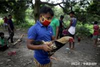 Killinganimalsbutbeingkilledbyanimals1.jpg Killinganimalsbutbeingkilledbyanimals1.jpg