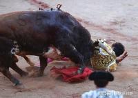 Killinganimalsbutbeingkilledbyanimals2.jpg Killinganimalsbutbeingkilledbyanimals2.jpg