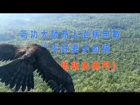 MasterQigongcantcurehis wifesillnessmovie.jpg MasterQigongcantcurehis wifesillnessmovie.jpg