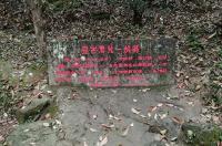 TravelsinthePlumGarden3.jpg