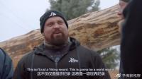 Vikingmastisbroken6.jpg Vikingmastisbroken6.jpg