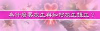 ad-release.jpg ad-release.jpg