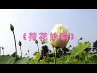 ametaphorforthelotusmovie.jpg ametaphorforthelotusmovie.jpg