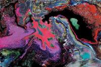 chaoticyetsplendidandorderlycolors.jpg chaoticyetsplendidandorderlycolors.jpg