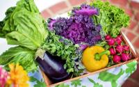 food-042.jpg food-042.jpg