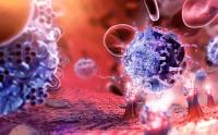 heal-027.jpg heal-027.jpg