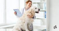 heal-033.jpg heal-033.jpg