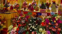 learnthebuddha-162.jpg learnthebuddha-162.jpg