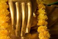 learnthebuddha-164.jpg learnthebuddha-164.jpg