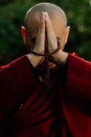 learnthebuddha-174.jpg learnthebuddha-174.jpg