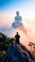 learnthebuddha-236.jpg learnthebuddha-236.jpg