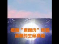 tangmonkmeatmovie.jpg tangmonkmeatmovie.jpg