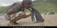 theembarrassmenofthespringfestival15.gif theembarrassmenofthespringfestival15.gif