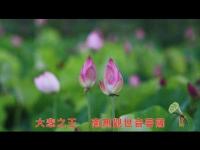 thekingofgreatcompassionnamoavalokitesvarabodhisattva.jpg thekingofgreatcompassionnamoavalokitesvarabodhisattva.jpg
