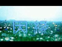 therestislefttofatemovie.jpg therestislefttofatemovie.jpg
